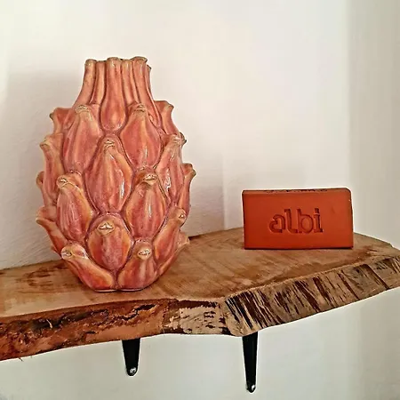 Apartment Lou Pitchoun - Cozy And Fully Equipped Albi
